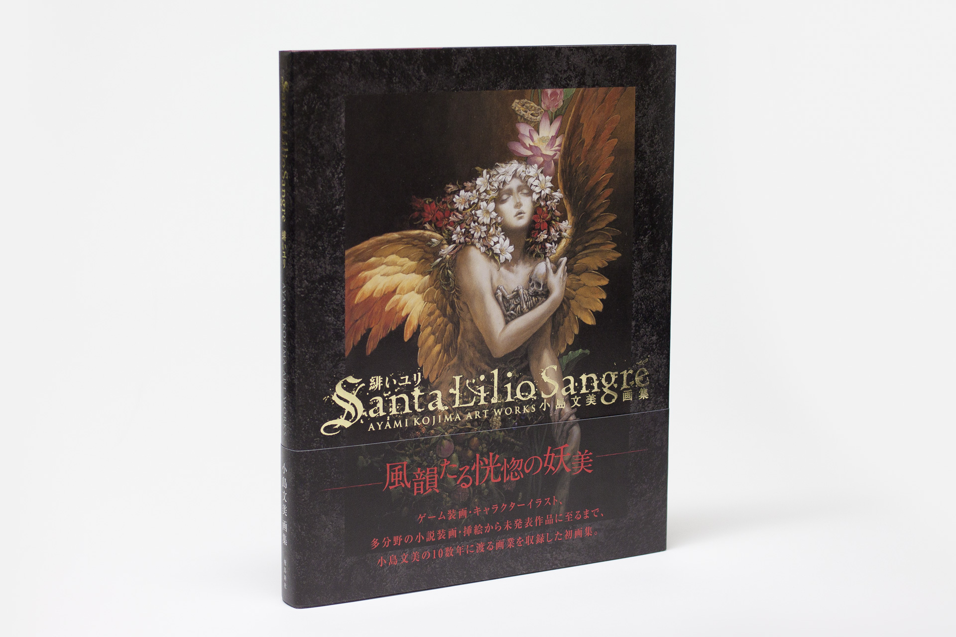 小島文美画集 『Santa Lilio Sangre 緋いユリ』 | デザイナー｜アート ...